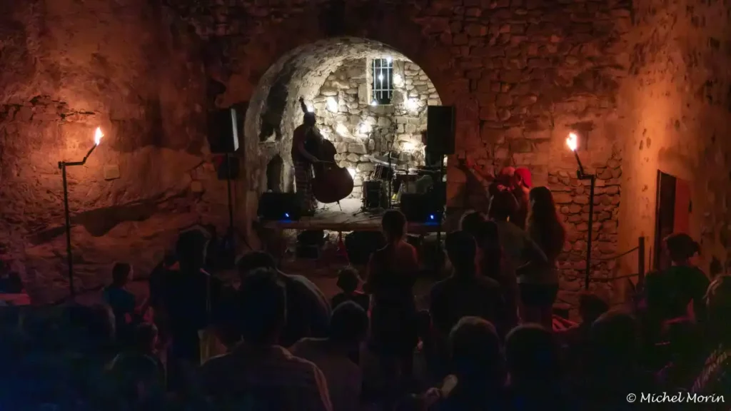 La Nuit aux Torches, déambulation nocturne aux flambeaux dans le village médiéval de Châtillon en Diois.